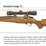 Gunstock12
