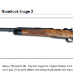 Gunstock2