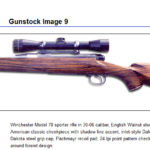 Gunstock9